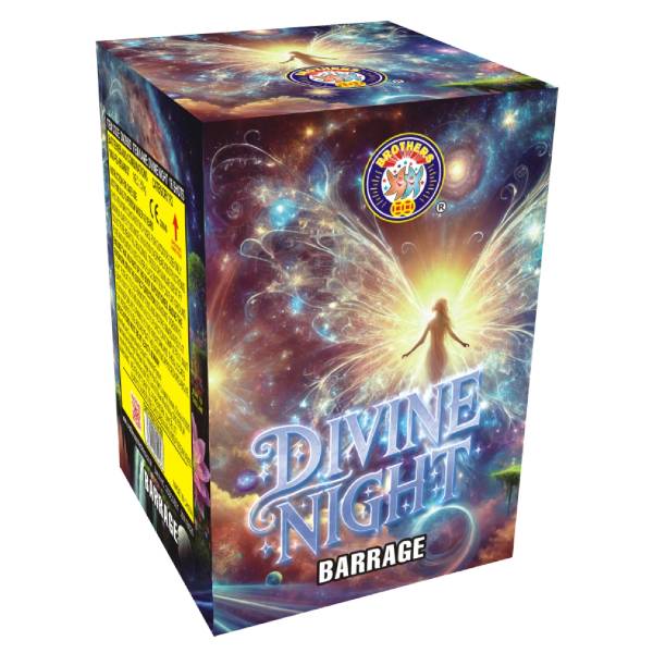 Divine Night